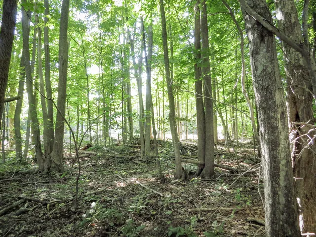 $72,900 | 225 Waldo Avenue, Belfast, ME 04915