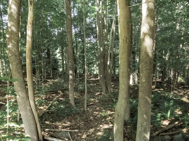 $72,900 | 225 Waldo Avenue, Belfast, ME 04915