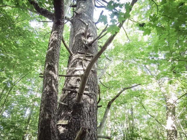 $72,900 | 225 Waldo Avenue, Belfast, ME 04915