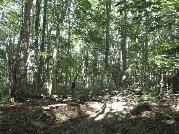 $72,900 | 225 Waldo Avenue, Belfast, ME 04915