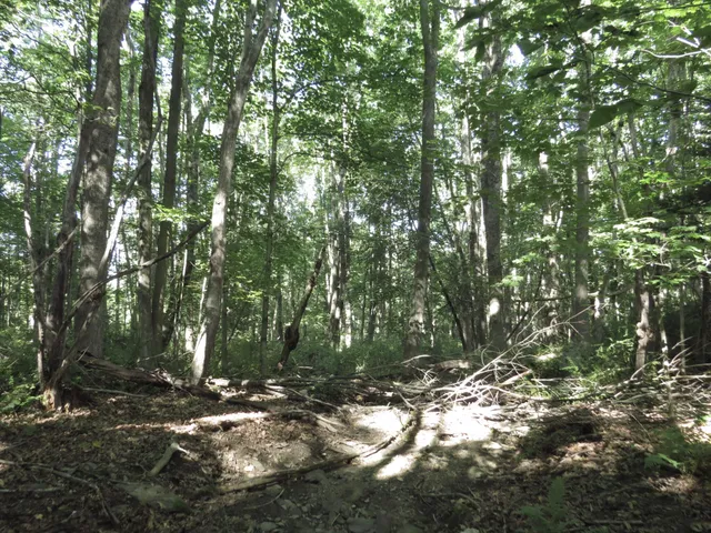 $72,900 | 225 Waldo Avenue, Belfast, ME 04915