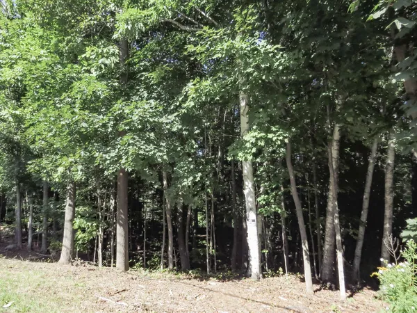 $72,900 | 225 Waldo Avenue, Belfast, ME 04915