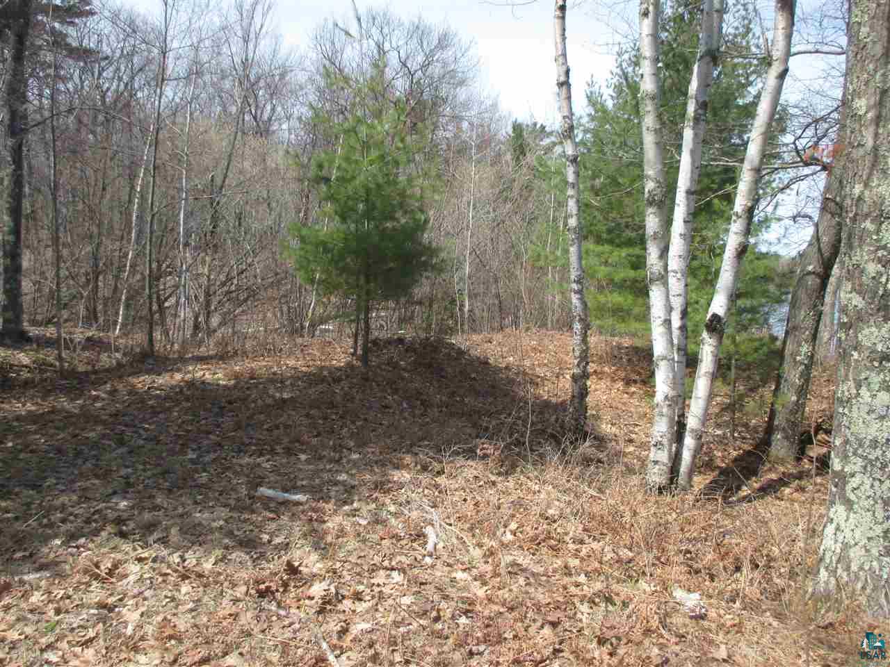 Lot 1 Apostle Bay Road Bayfield, WI 54814 - Photo 11 of 30 Partly open-partly wooded
