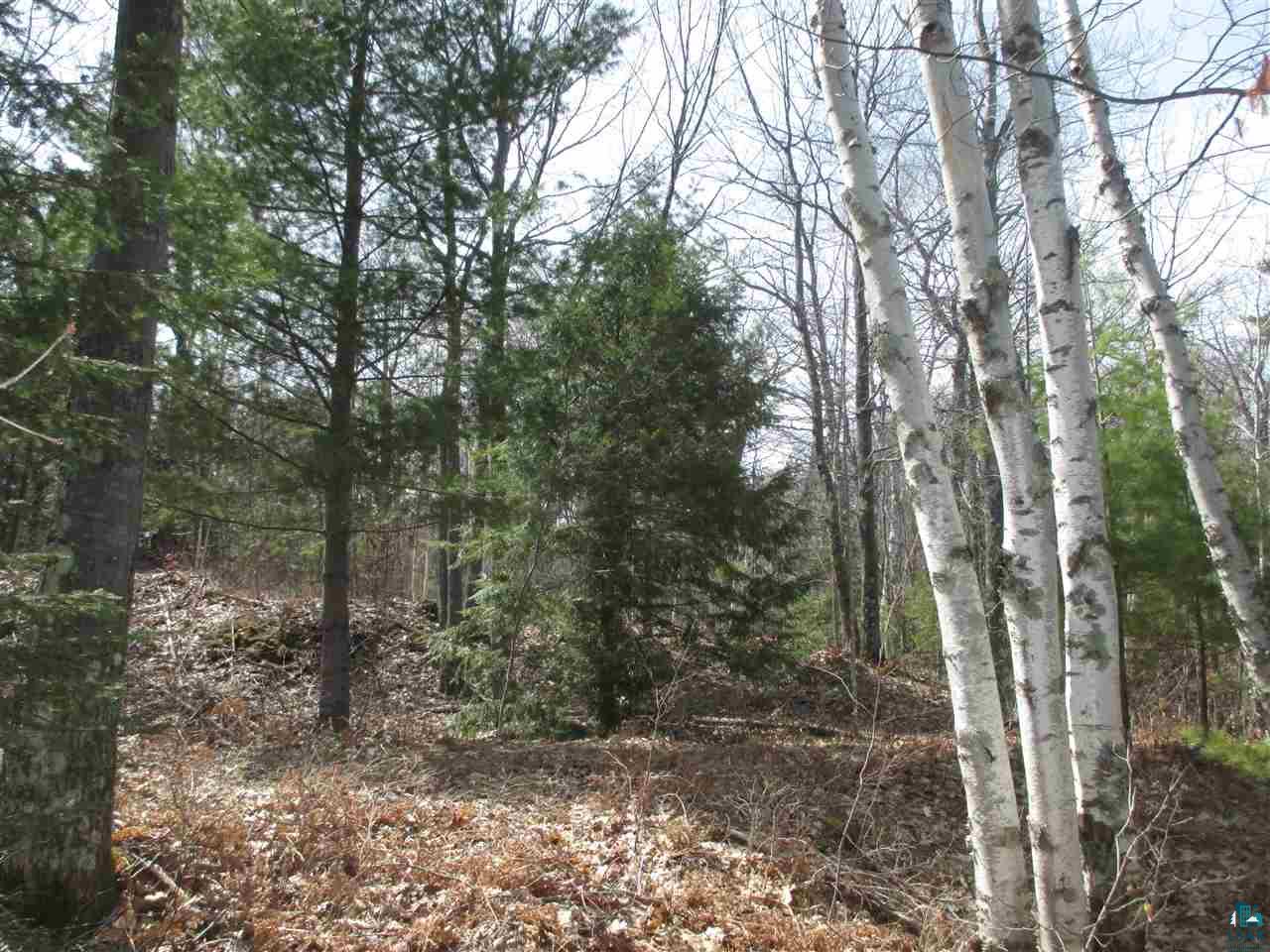 Lot 1 Apostle Bay Road Bayfield, WI 54814 - Photo 13 of 30 Gallery Image 13