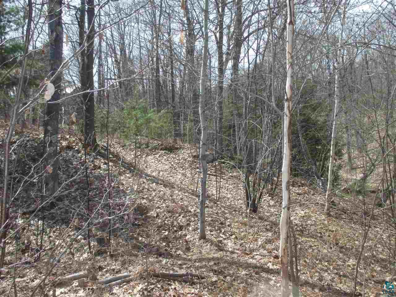 Lot 1 Apostle Bay Road Bayfield, WI 54814 - Photo 18 of 30 Gallery Image 18