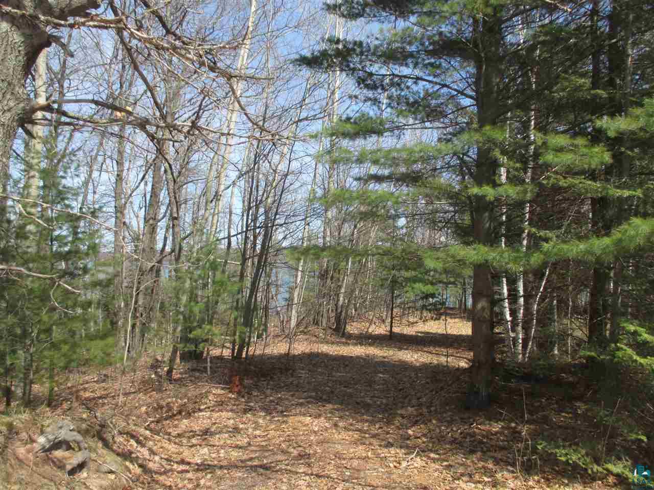 Lot 1 Apostle Bay Road Bayfield, WI 54814 - Photo 2 of 30 Driveway into Lot