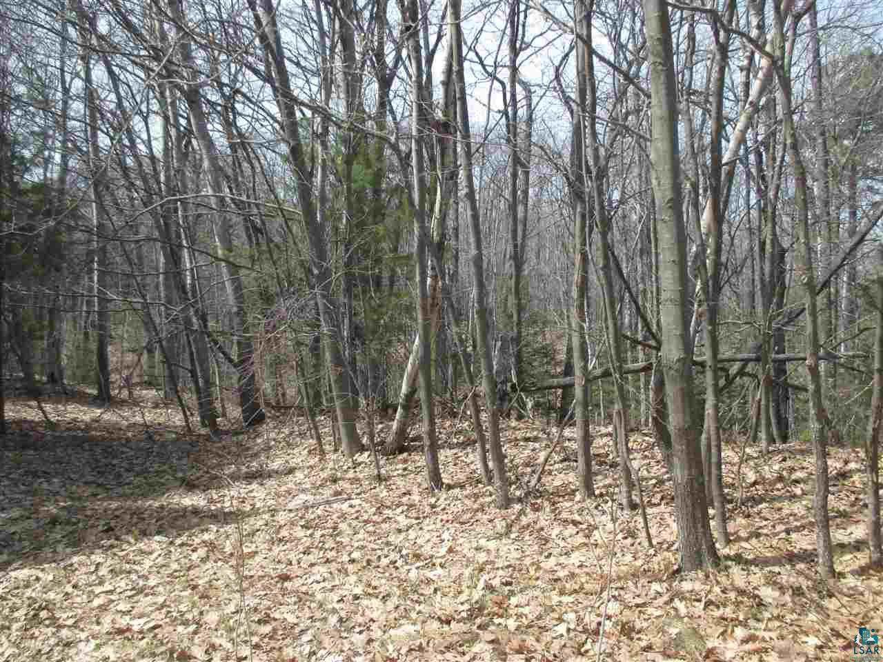 Lot 1 Apostle Bay Road Bayfield, WI 54814 - Photo 28 of 30 Gallery Image 28