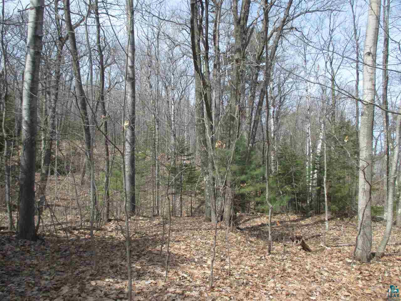 Lot 1 Apostle Bay Road Bayfield, WI 54814 - Photo 30 of 30 Gallery Image 30