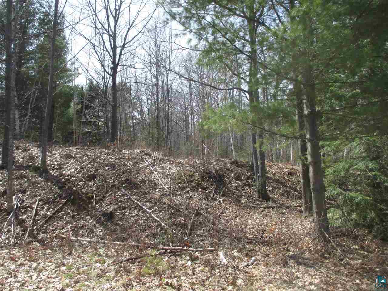 Lot 1 Apostle Bay Road Bayfield, WI 54814 - Photo 10 of 30 Gently sloping terrain