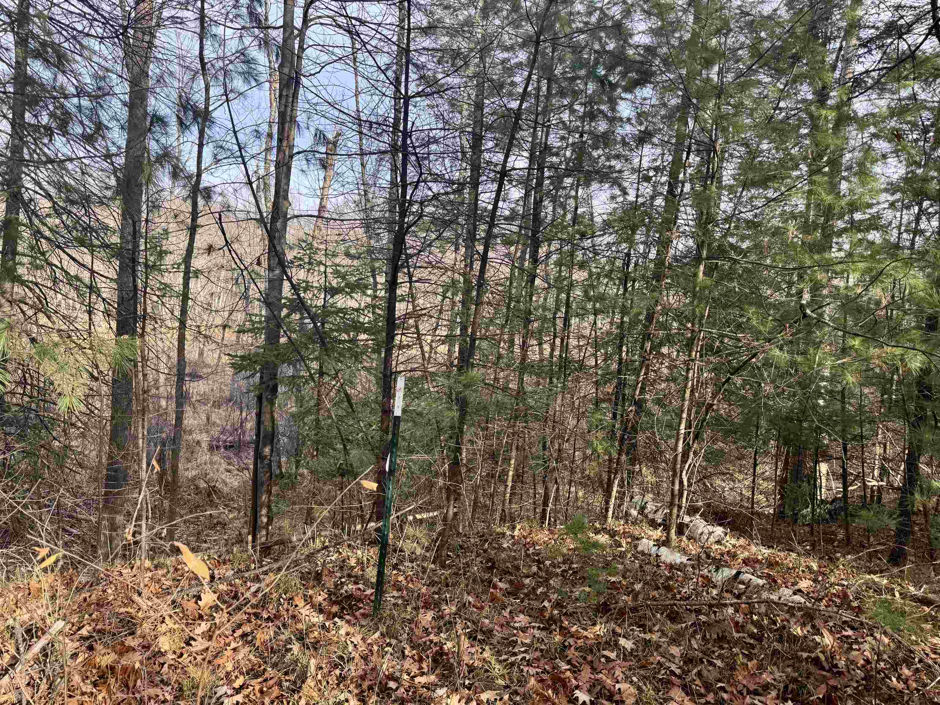 Airport Road, Unit 4 Crivitz, WI 54114 - Photo 5 of 10