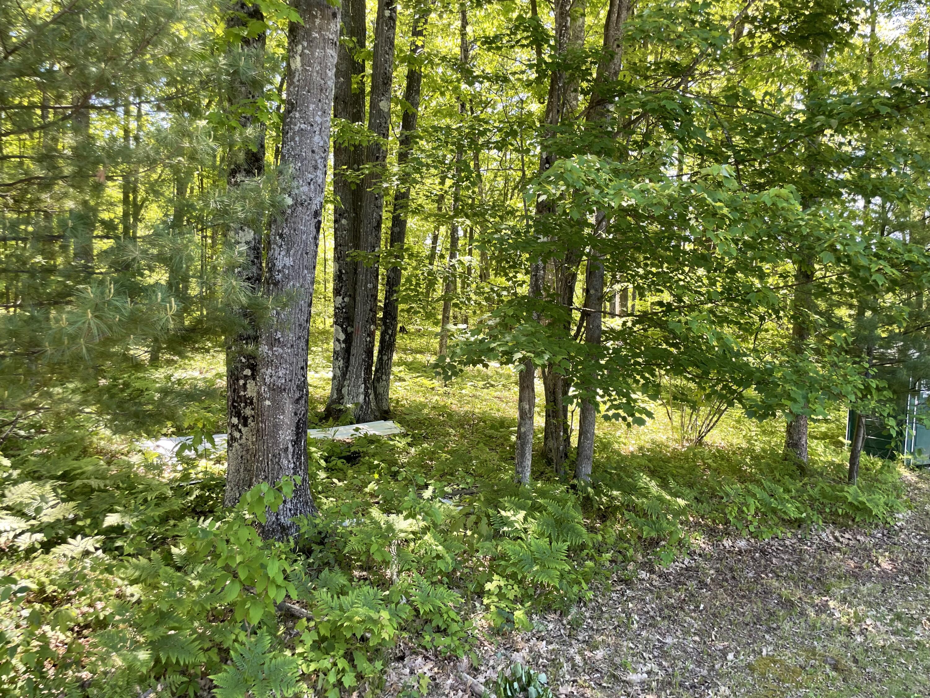 10 East Mile Road Luther, MI 49656 - Photo 12 of 40 IMG_0787