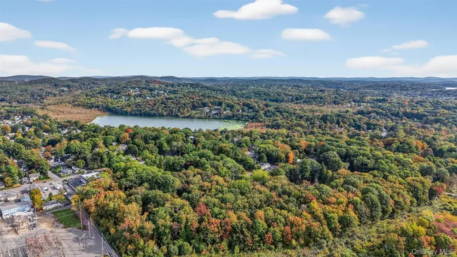 an aerial view of houses covered with trees