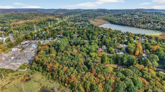 a view of a city with lush green forest