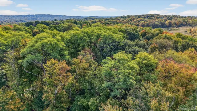 a view of a field with an ocean