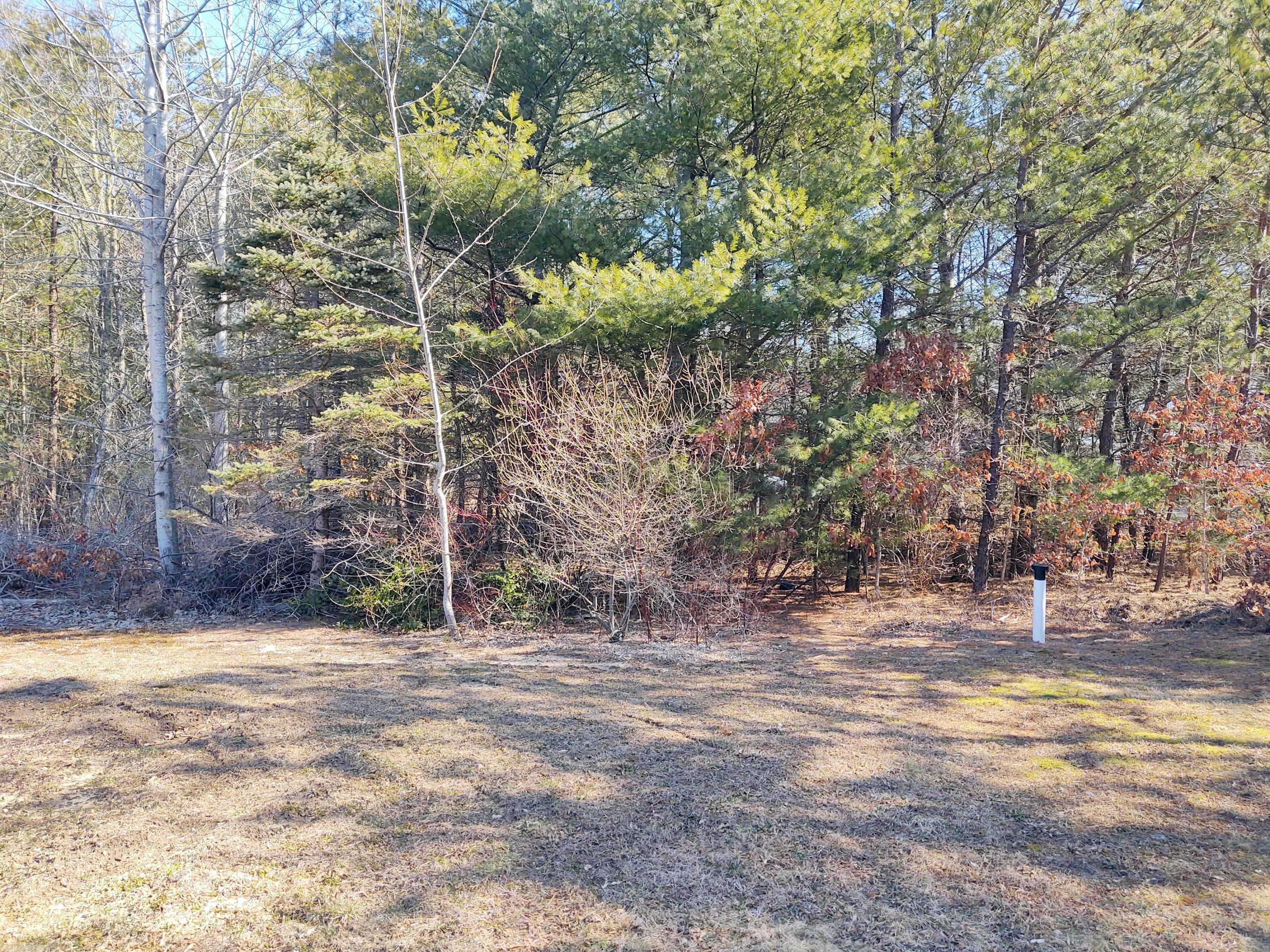 24 Orchard Road Mashpee, MA 02649 - Photo 4 of 32 back yard
