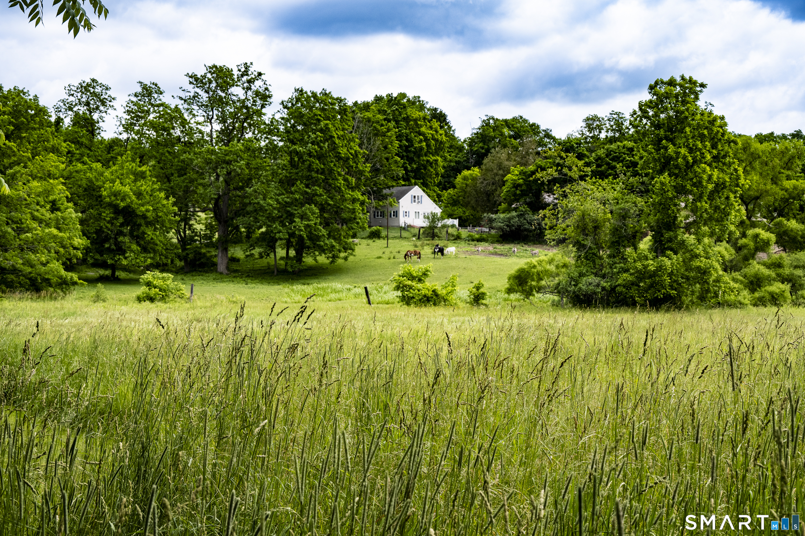 136 Lower Road North Canaan, CT 06018 - Photo 24 of 39