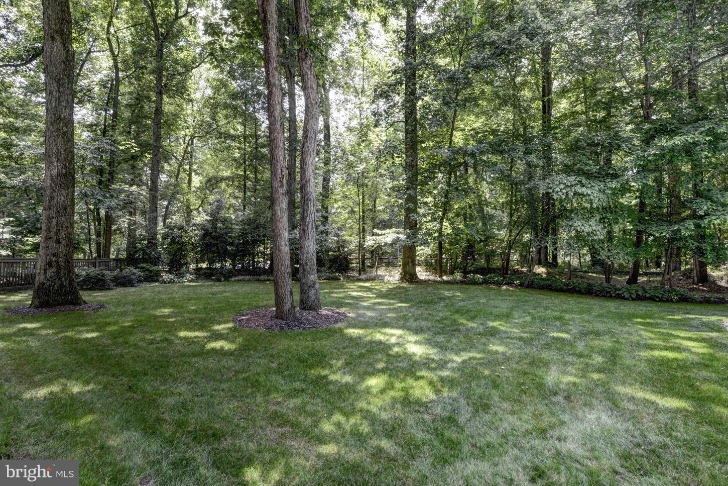 12245 Carroll Mill Road Ellicott City, MD 21042 - Photo 29 of 30 Exterior (Rear)