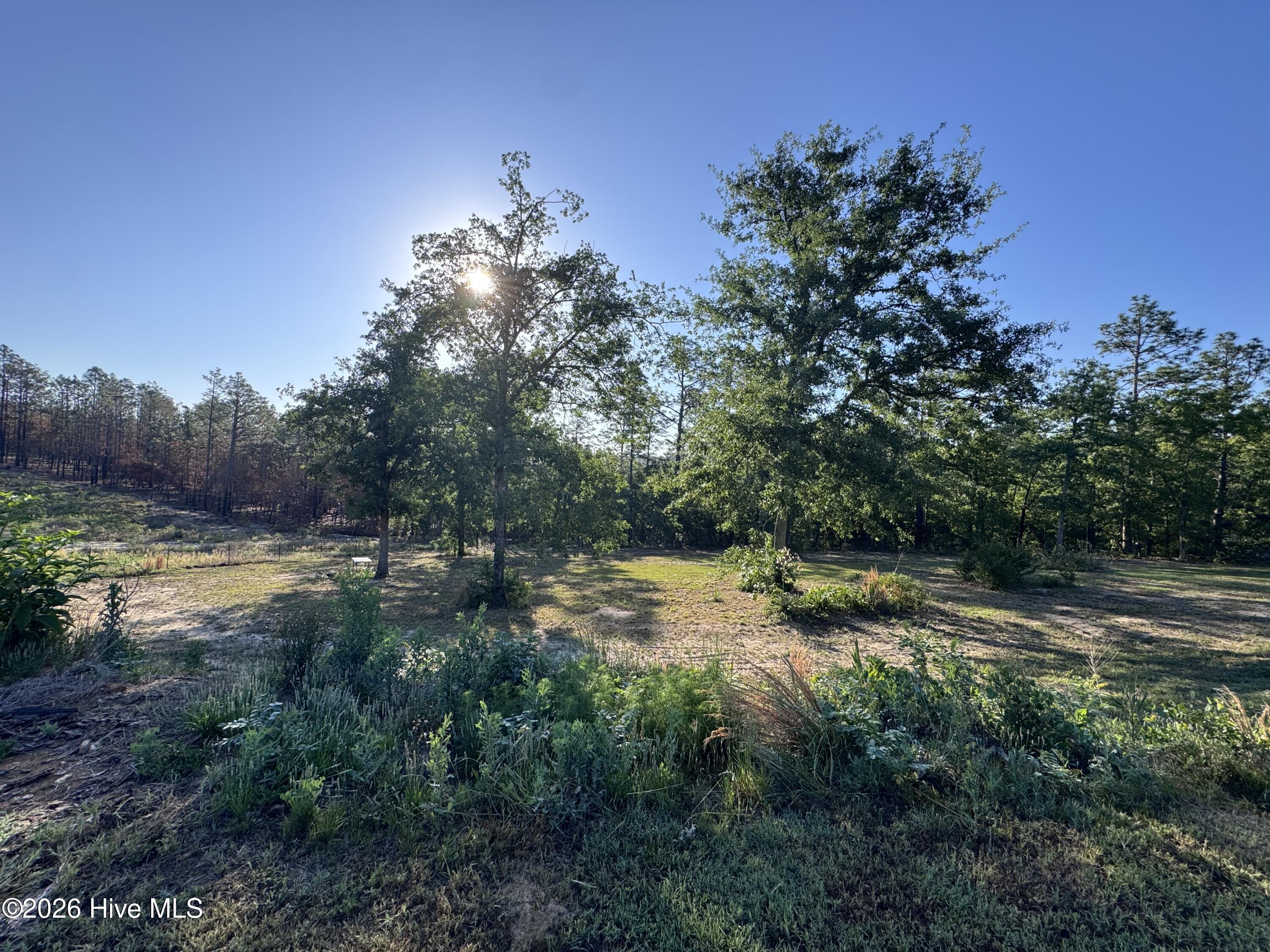4441 Etterle Road Blythe, GA 30805 - Photo 20 of 118 IMG_3739