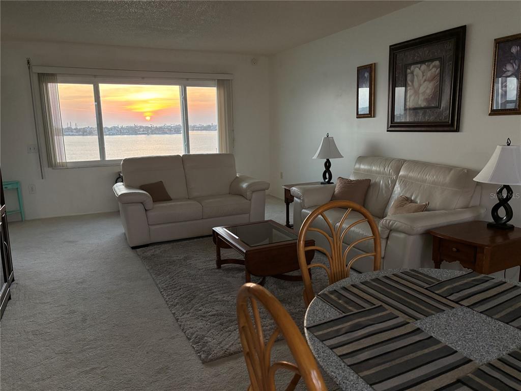 4750 Cove Circle, Unit 904 St. Petersburg, FL 33708 - Photo 3 of 37 a living room with furniture and a window