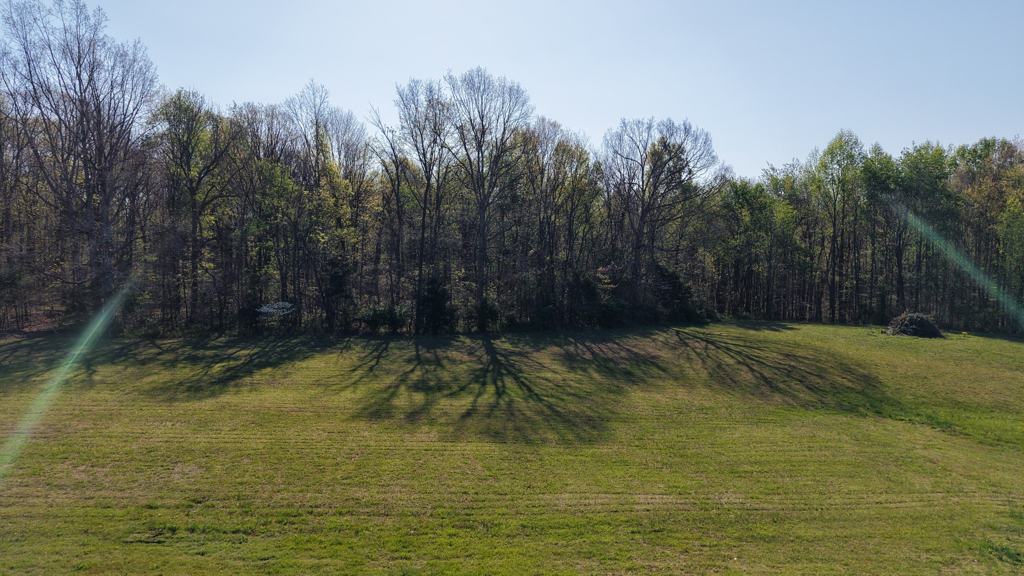 2634 Pleasant Grove Road Westmoreland, TN 37186 - Photo 5 of 44