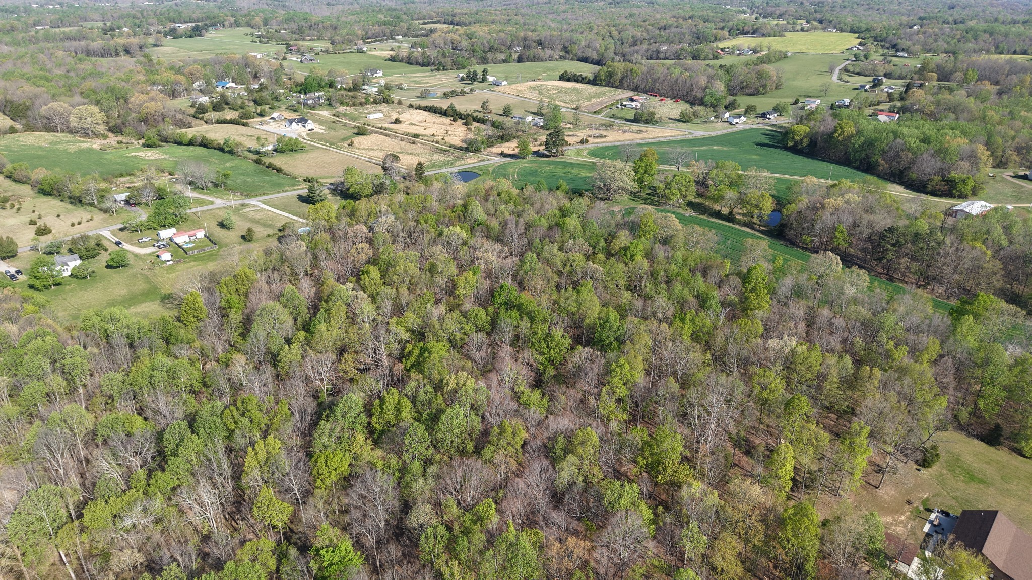 2634 Pleasant Grove Road Westmoreland, TN 37186 - Photo 8 of 44