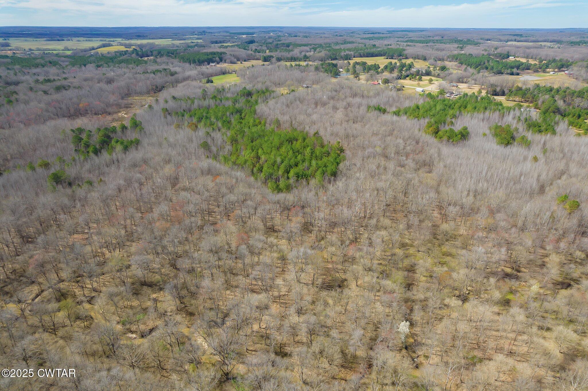 196 Pierce Road Beech Bluff, TN 38313 - Photo 2 of 63 a view of a dry yard with trees
