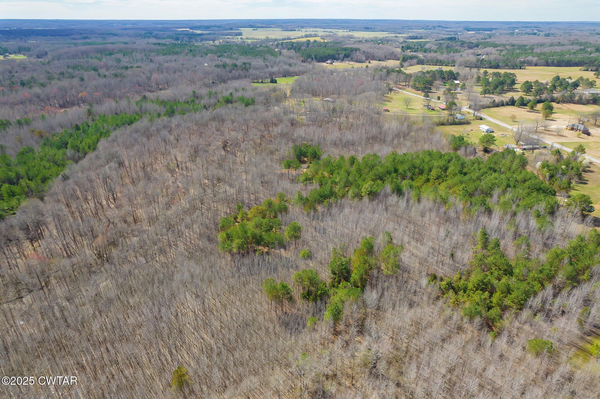 196 Pierce Road Beech Bluff, TN 38313 - Photo 3 of 63 Completed-34