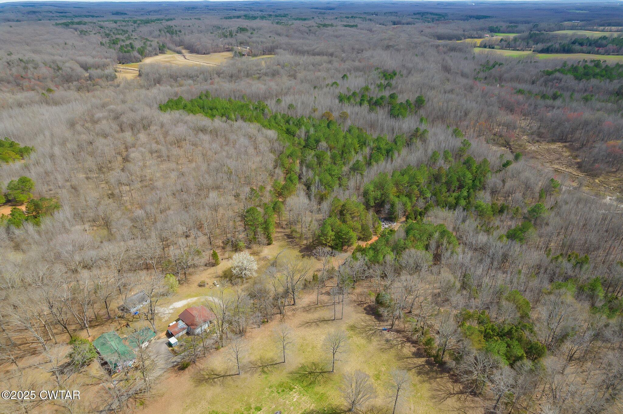 196 Pierce Road Beech Bluff, TN 38313 - Photo 31 of 63 a view of a dry field with trees