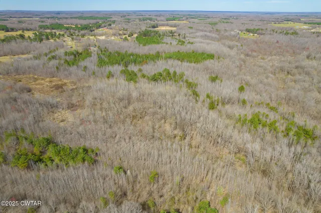 a roof deck with table and chairs and potted plants