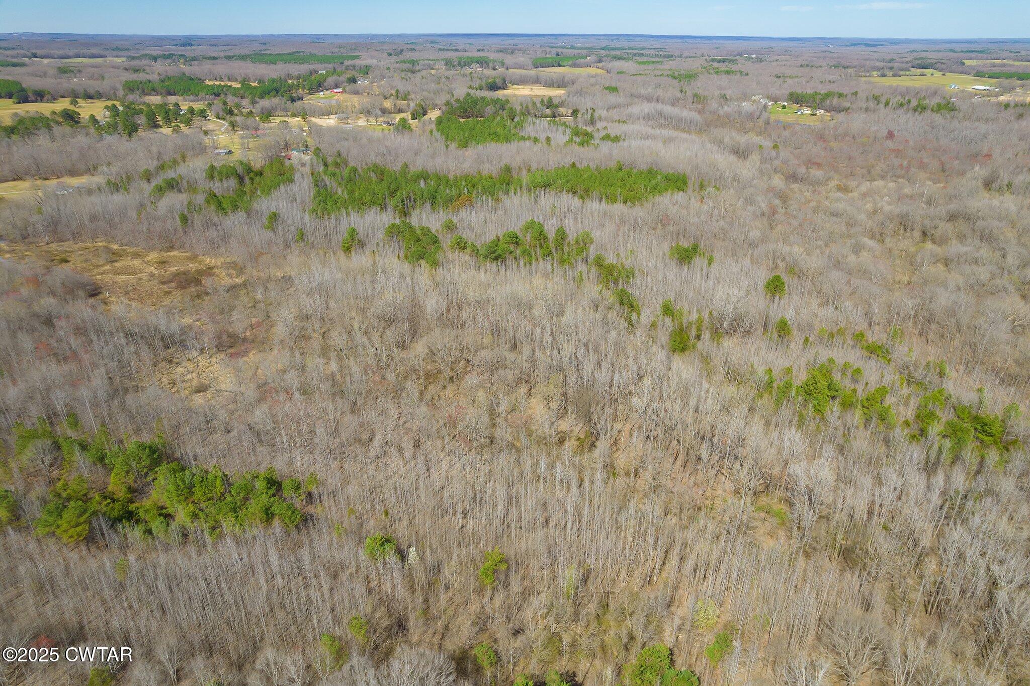 196 Pierce Road Beech Bluff, TN 38313 - Photo 35 of 63 a view of a lake view
