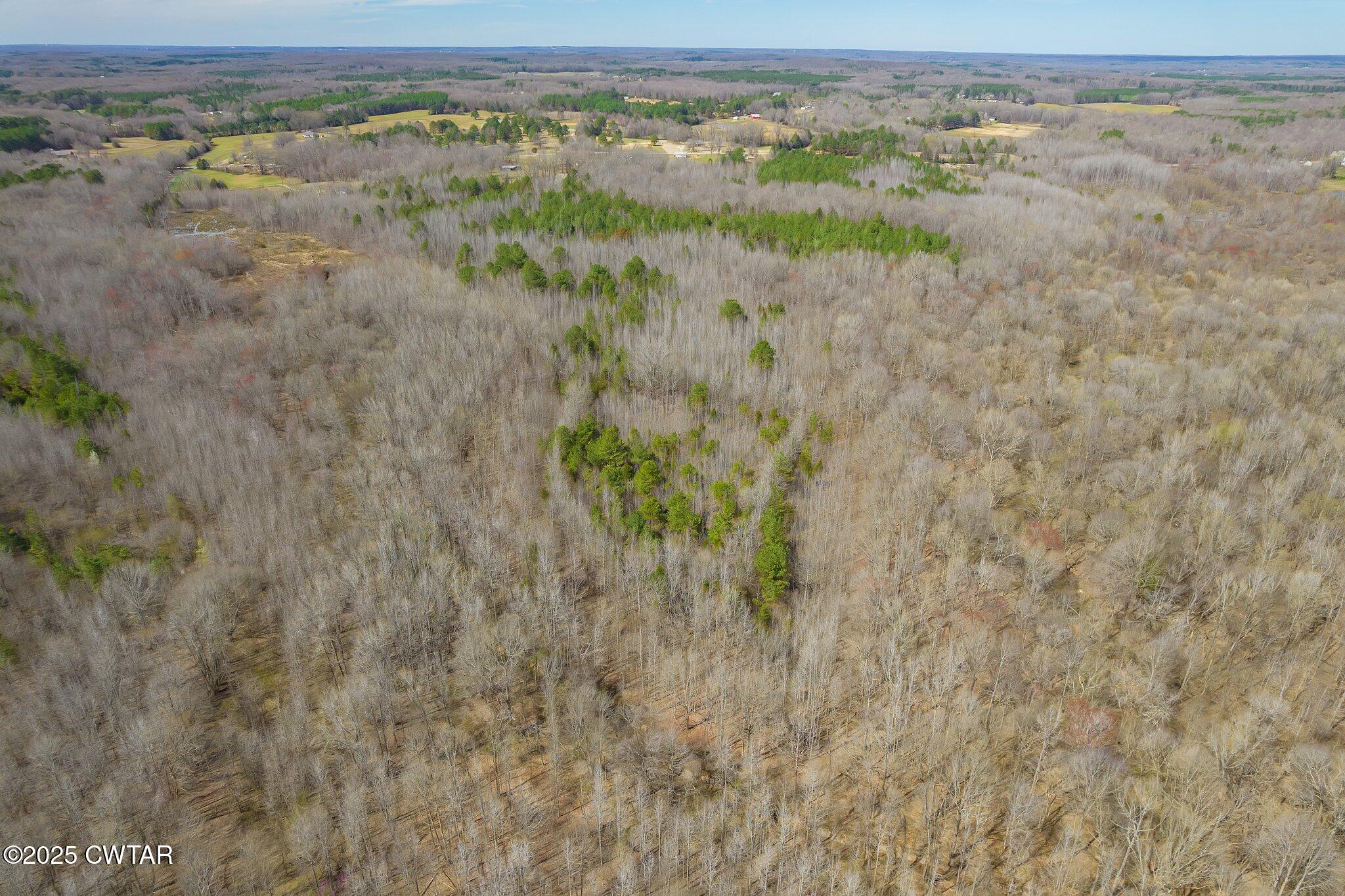 196 Pierce Road Beech Bluff, TN 38313 - Photo 36 of 63 a view of a lake with a mountain