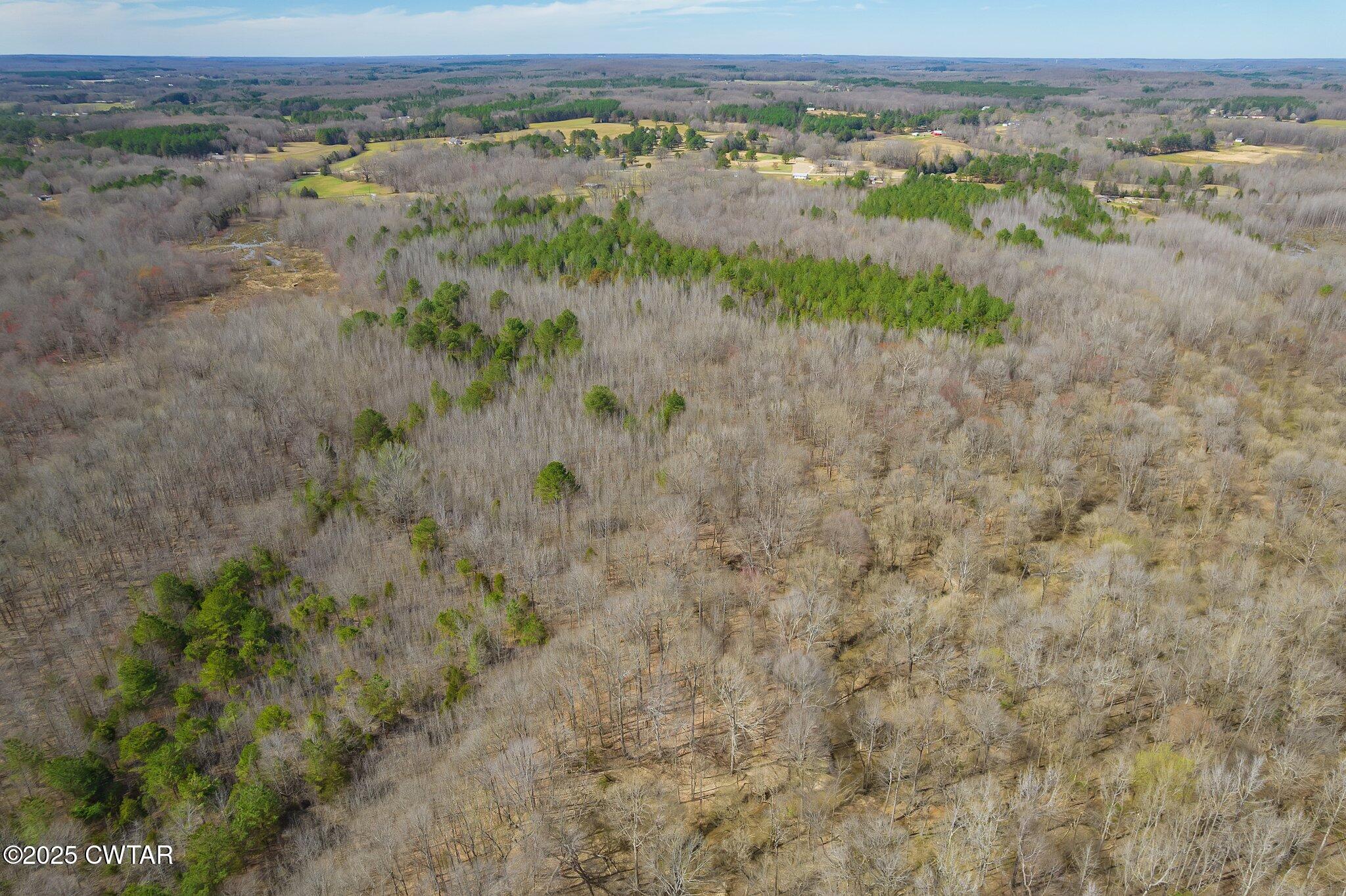 196 Pierce Road Beech Bluff, TN 38313 - Photo 37 of 63 a view of a lake with a mountain