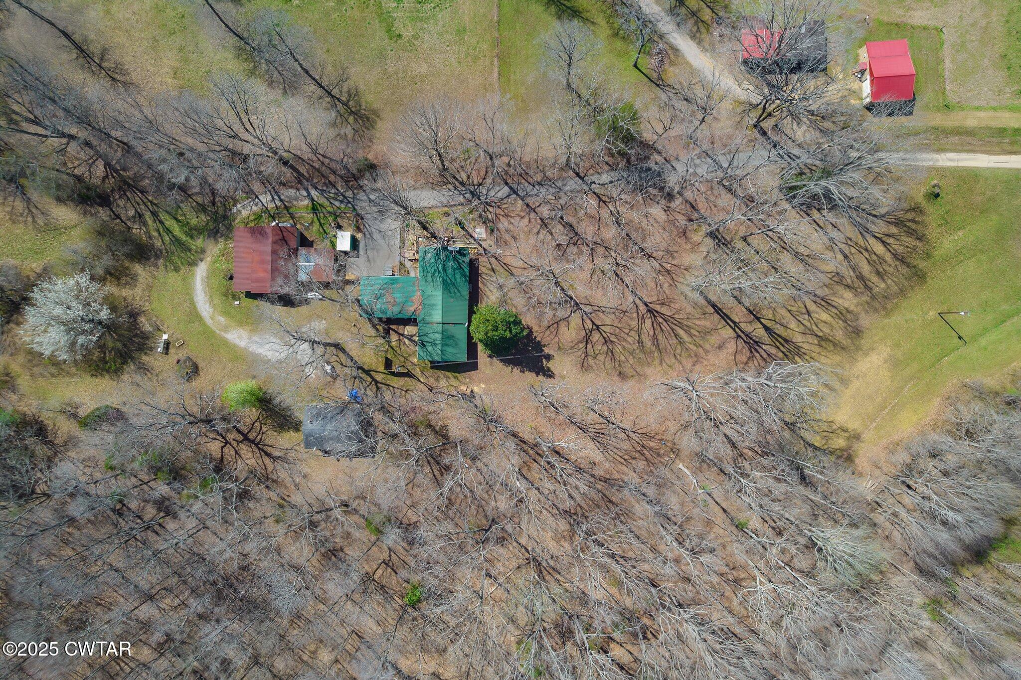 196 Pierce Road Beech Bluff, TN 38313 - Photo 5 of 63 a backyard of a house with lots of green space