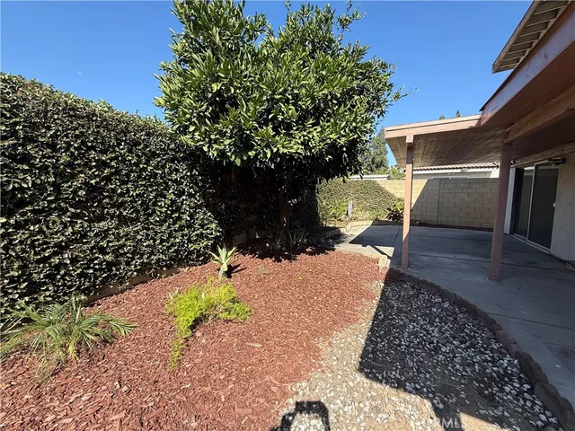 a view of a yard with plants and trees