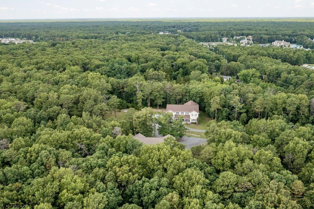 a view of a city with lush green forest