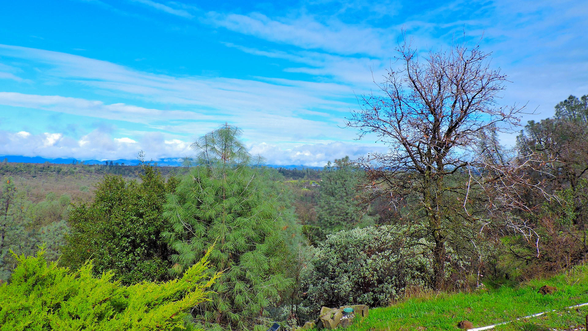 10600 Beaver Road Oak Run, CA 96069 - Photo 54 of 65 2017-02-18 11.59.23