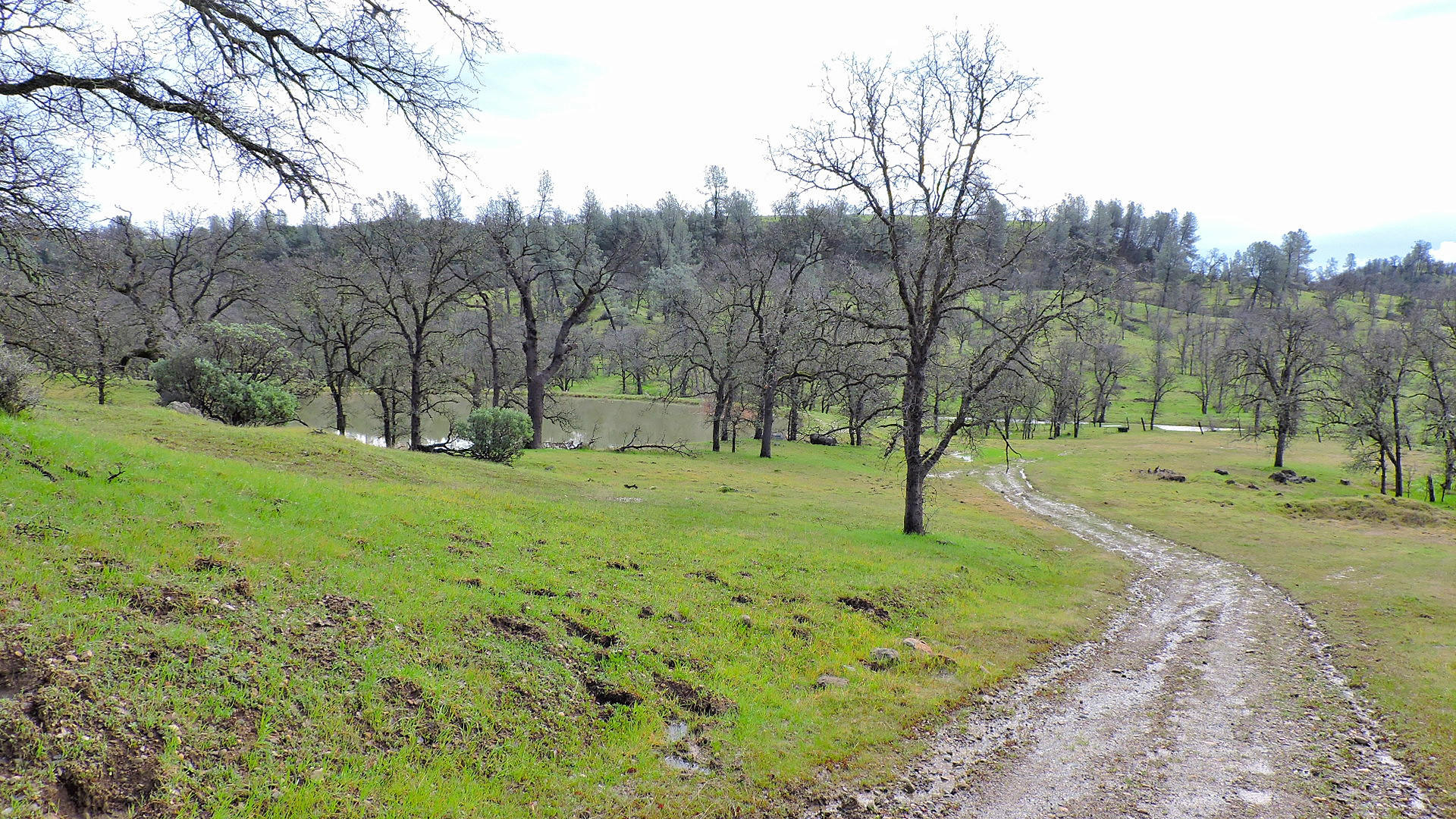 10600 Beaver Road Oak Run, CA 96069 - Photo 60 of 65 2017-02-18 12.13.57