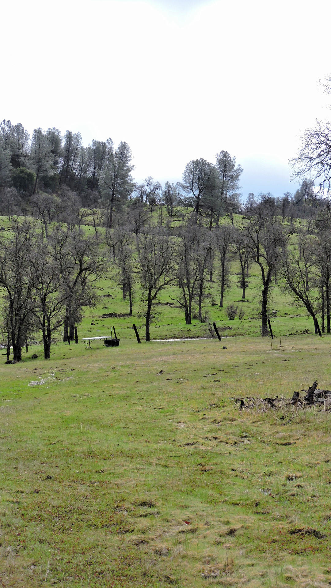 10600 Beaver Road Oak Run, CA 96069 - Photo 65 of 65 2017-02-18 12.17.14