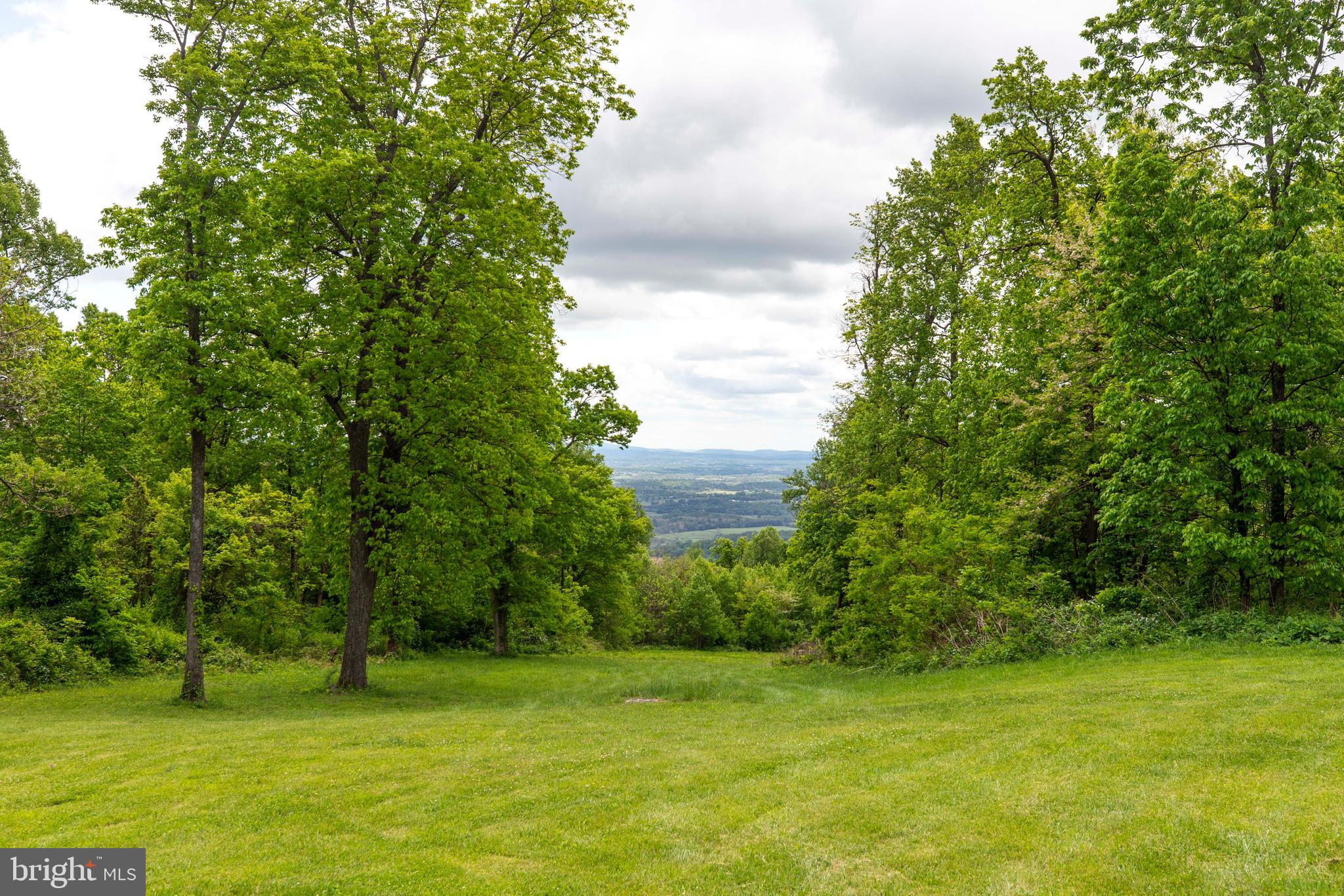 20711 Blue Ridge Mountain Road Paris, VA 20130 - Photo 3 of 82