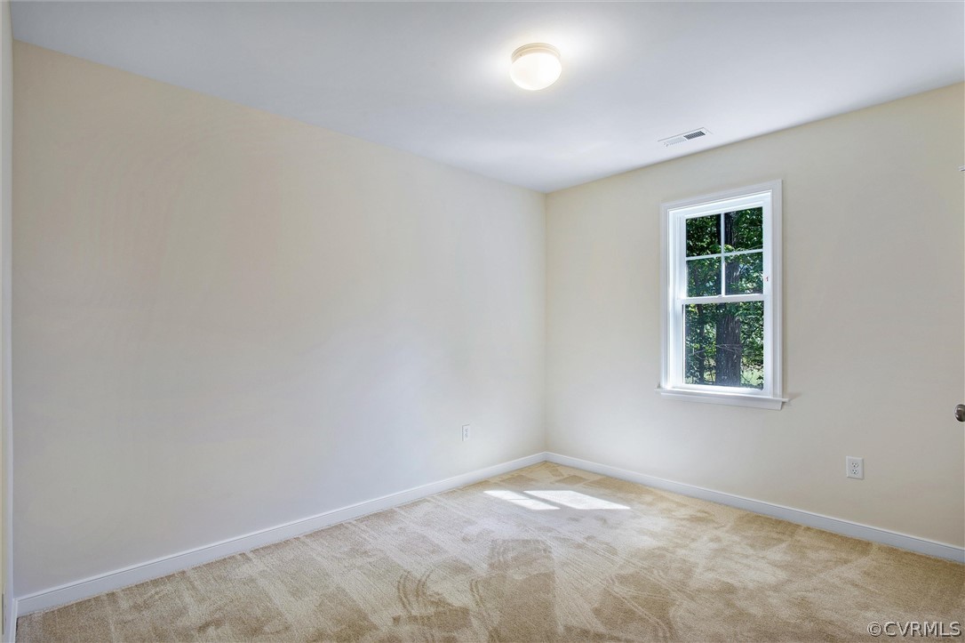11808 Rimswell Turn, Unit TURN Midlothian, VA 23112 - Photo 21 of 35 Gallery Image 21