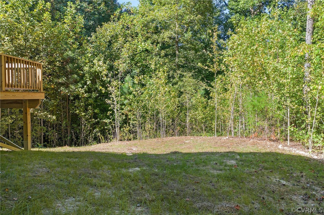 11808 Rimswell Turn, Unit TURN Midlothian, VA 23112 - Photo 27 of 35 Gallery Image 27