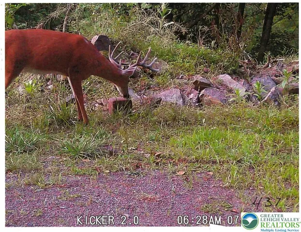 $335,000 | 313 East Fireline Road, Palmerton, PA 18071