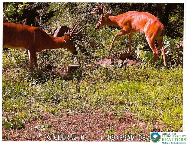 $335,000 | 313 East Fireline Road, Palmerton, PA 18071