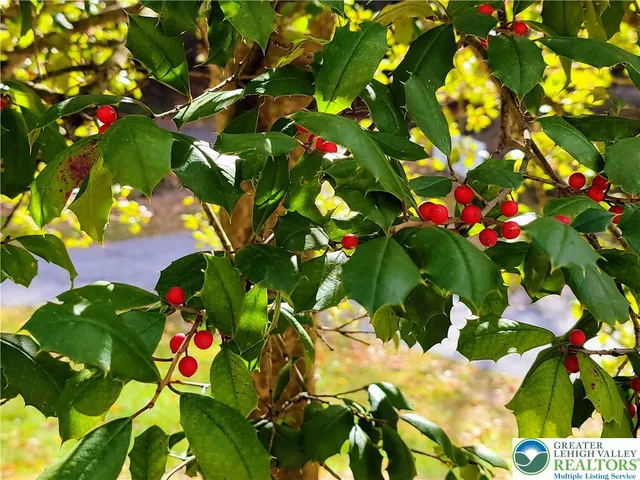 $335,000 | 313 East Fireline Road, Palmerton, PA 18071