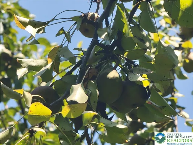 $335,000 | 313 East Fireline Road, Palmerton, PA 18071