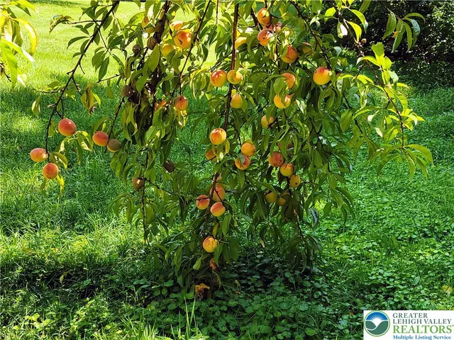 $335,000 | 313 East Fireline Road, Palmerton, PA 18071