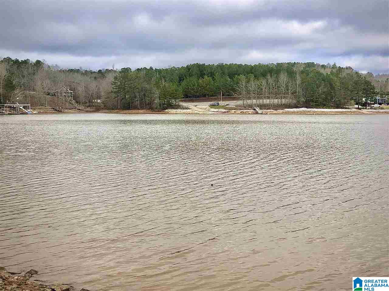 247 County Road 247 Wedowee, AL 36278 - Photo 5 of 8