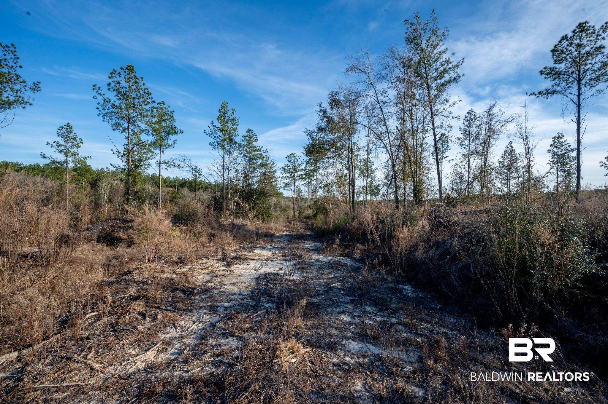 1 Beverly Jeffries Highway Citronelle, AL 36522 - Photo 8 of 12