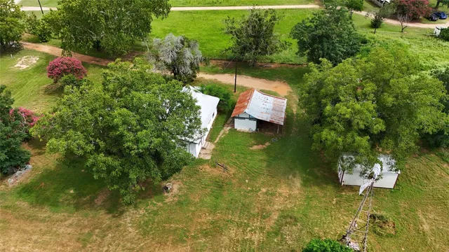 a huge green field with lots of trees