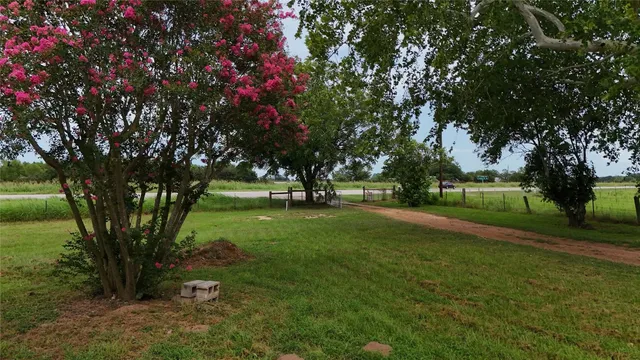 a view of a park with large trees